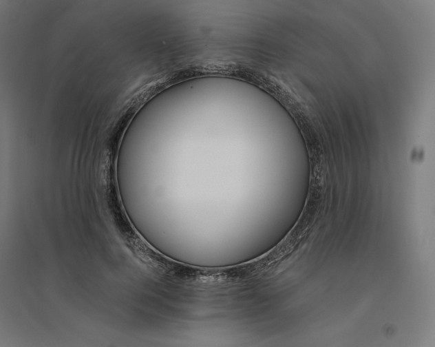 X0000094430744200712061113