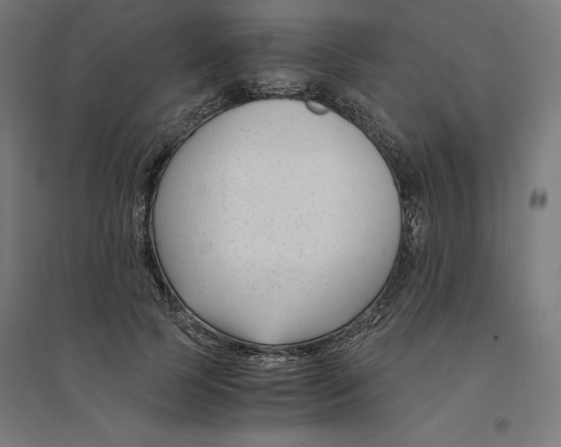 X0000094430745200712061113