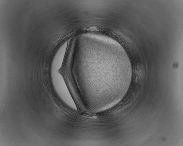 X0000094430747200712061113