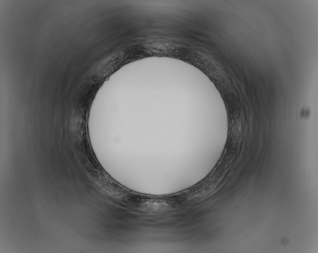 X0000094430749200712061113