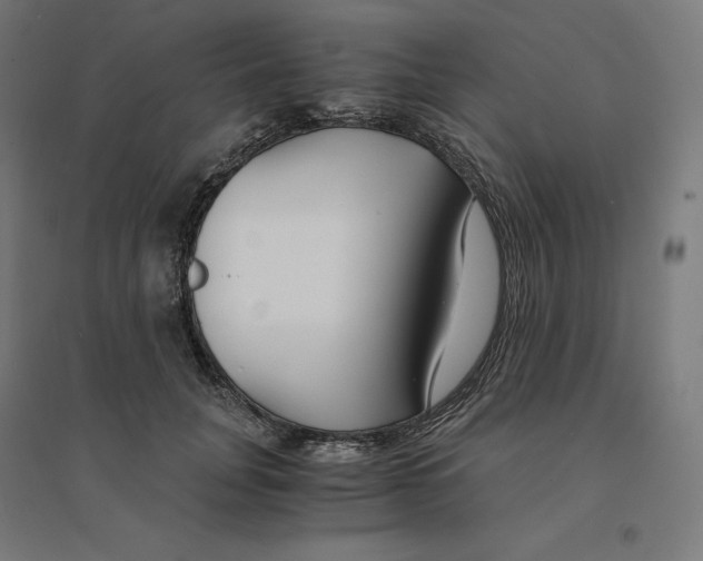 X0000094430751200712061113