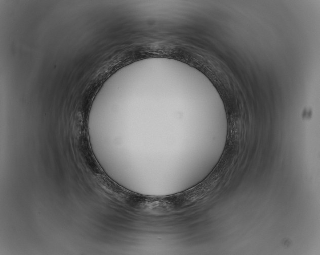 X0000094430752200712061113