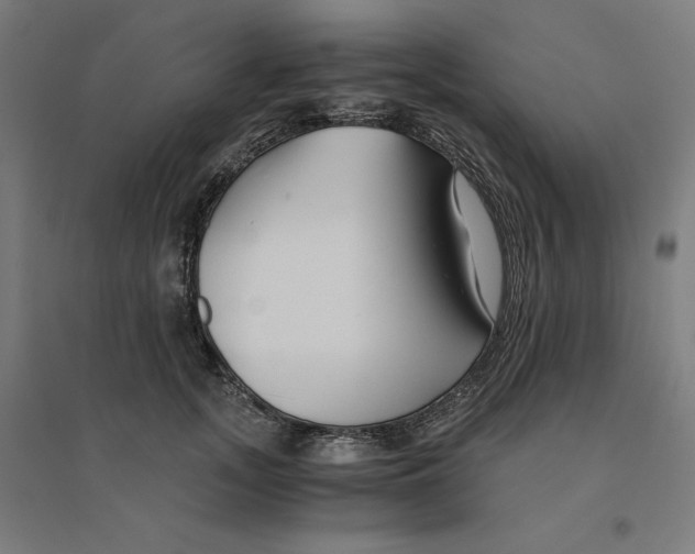 X0000094430755200712061113