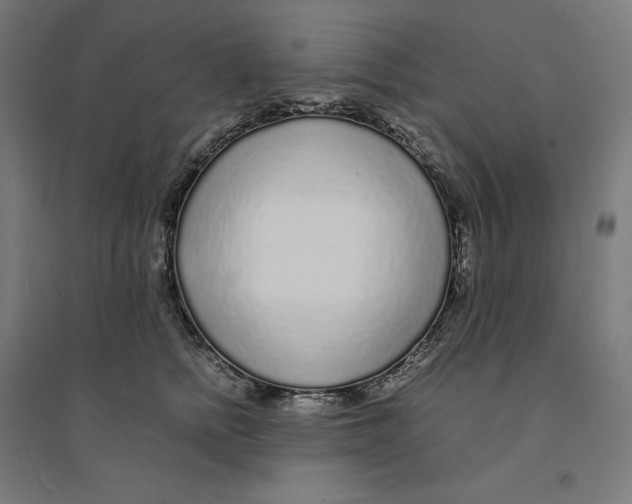 X0000094430758200712061113