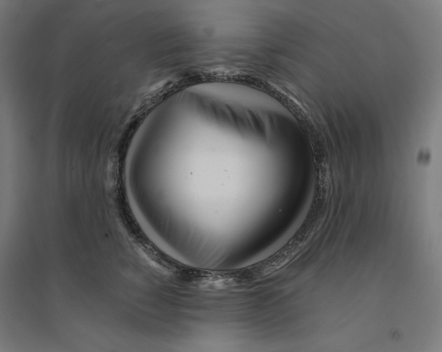 X0000094430760200712061113