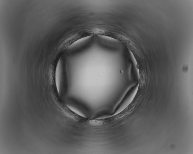 X0000094430762200712061114