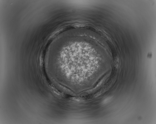 X0000094430763200712061114