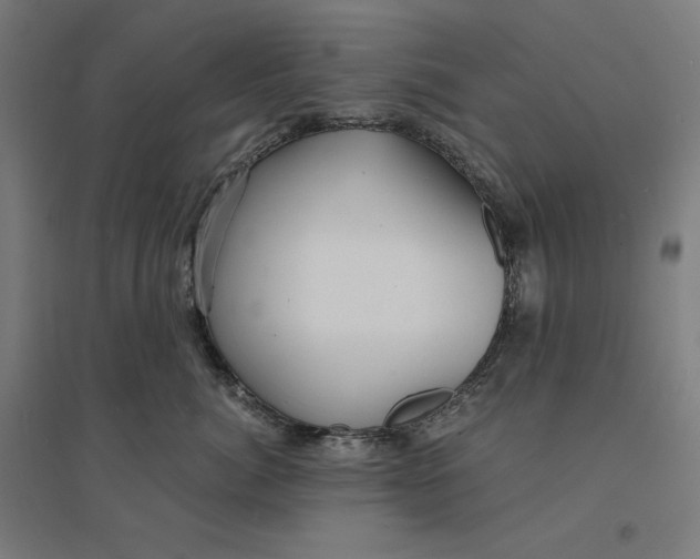 X0000094430764200712061114