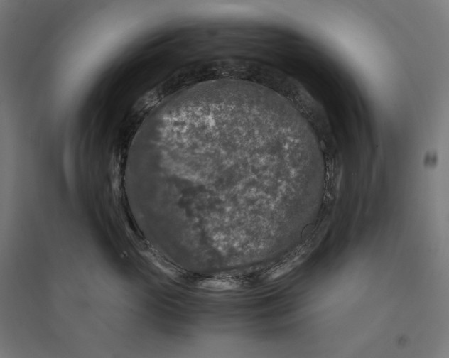 X0000094430765200712061114