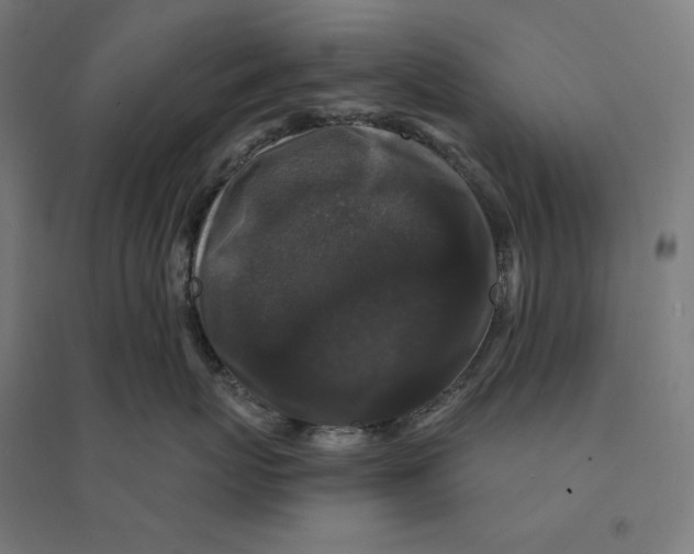 X0000094430767200712061114