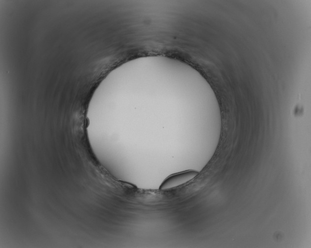 X0000094430768200712061114