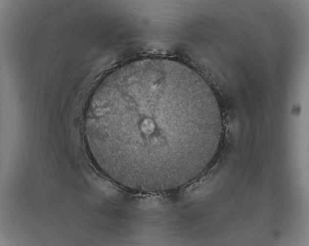 X0000094430769200712061113