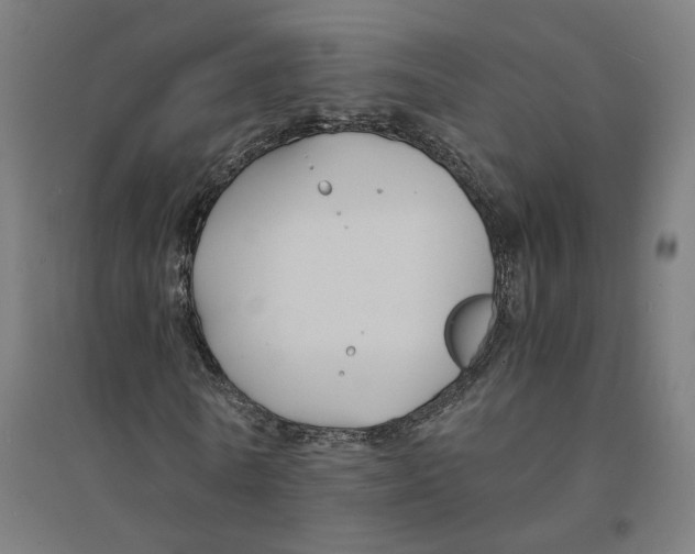 X0000094430770200712061113