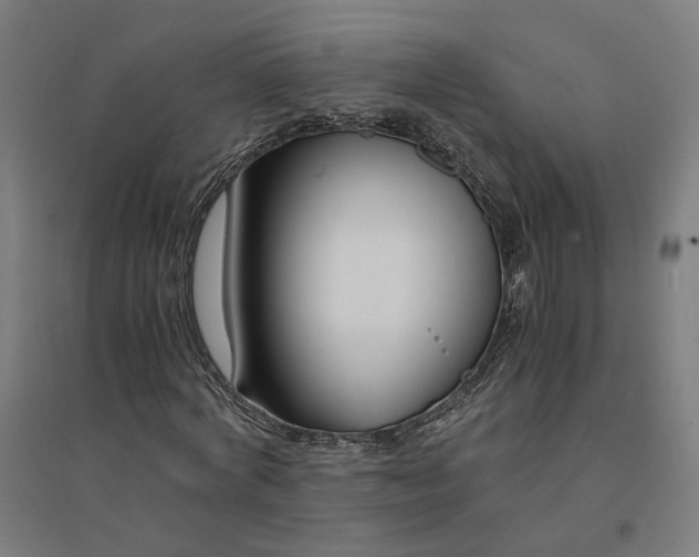 X0000094430772200712061113