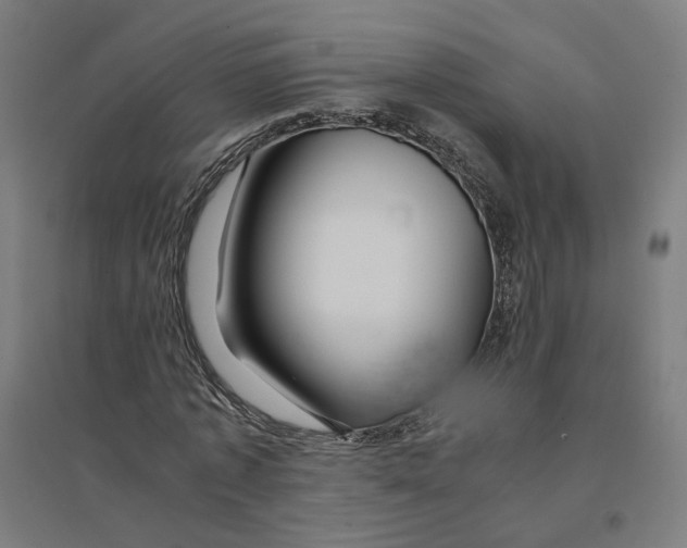 X0000094430773200712061113