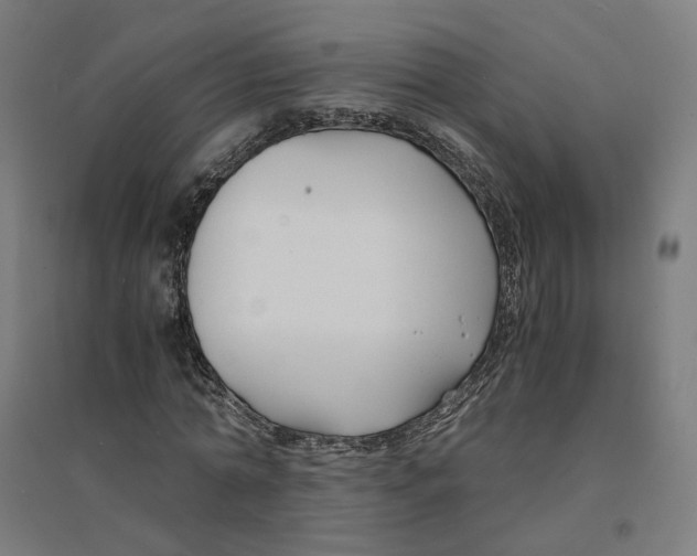 X0000094430774200712061113