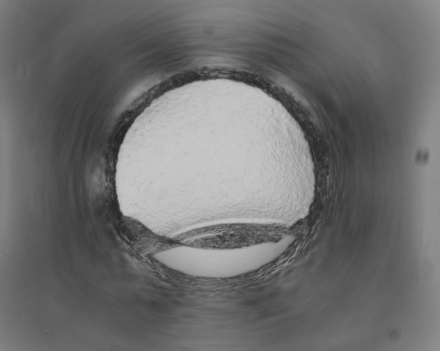 X0000094430775200712061113