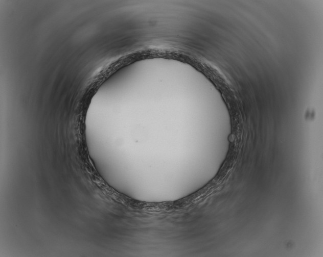 X0000094430776200712061113