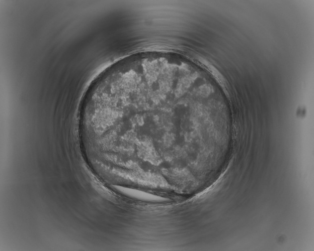 X0000094430779200712061113