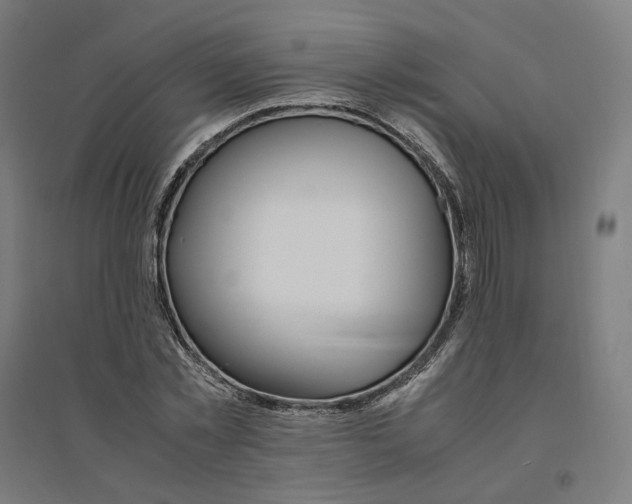 X0000094430781200712061113