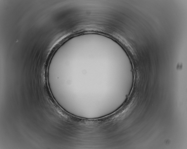 X0000094430782200712061113