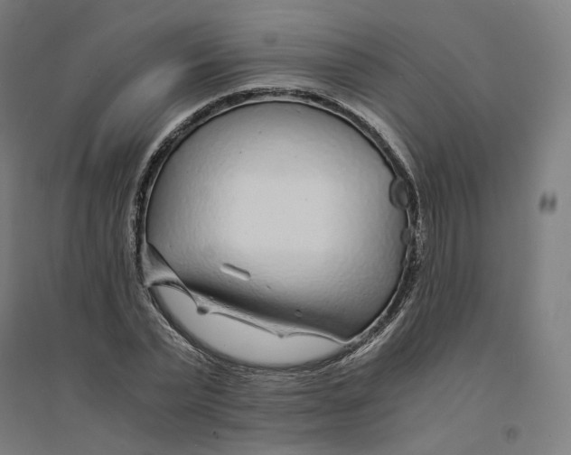 X0000094430783200712061113