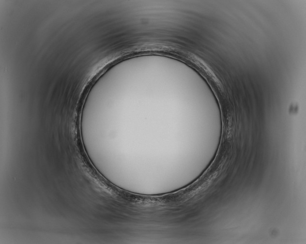 X0000094430786200712061113