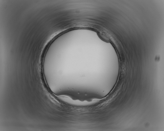 X0000094430787200712061113