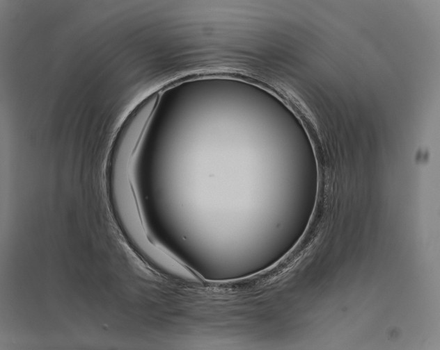 X0000094430789200712061113