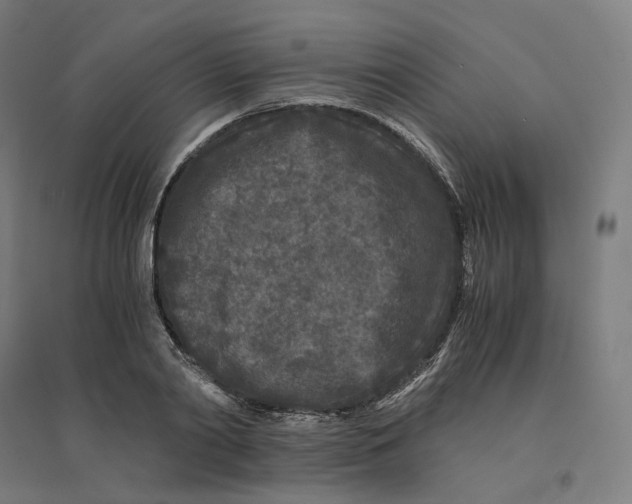 X0000094430790200712061113