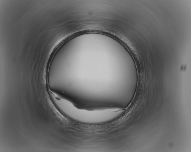 X0000094430791200712061113