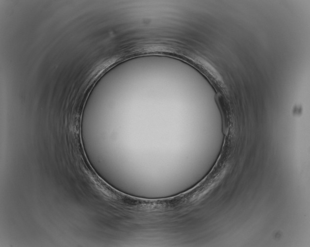 X0000094430793200712061113