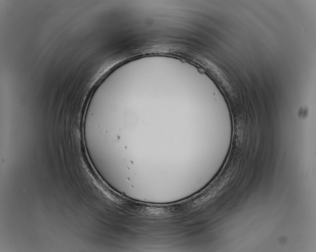 X0000094430794200712061113