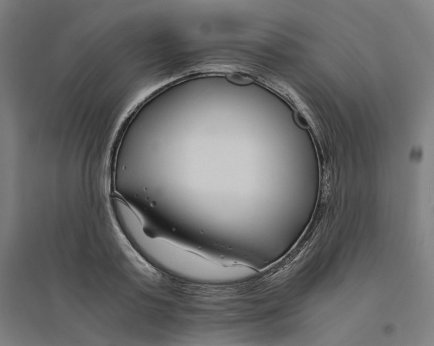 X0000094430795200712061113