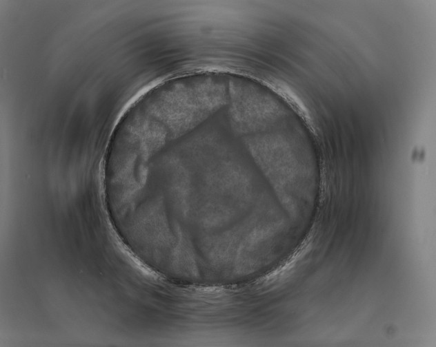 X0000094430798200712061113