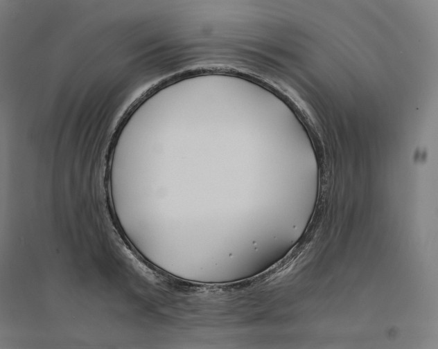 X0000094430799200712061113