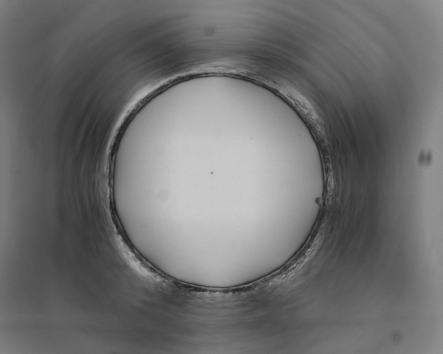 X0000094430800200712061113