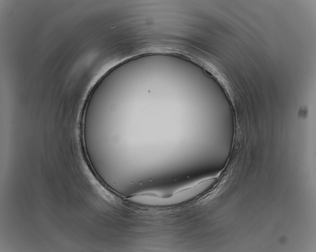 X0000094430803200712061112