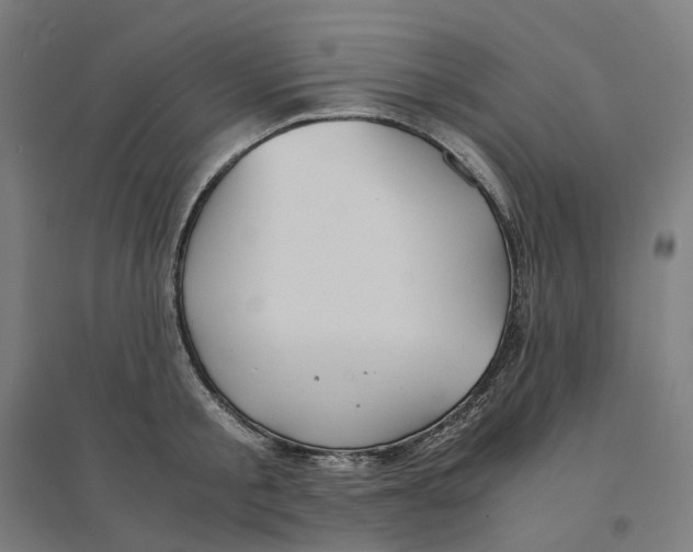 X0000094430805200712061112