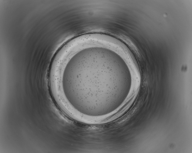 X0000094430806200712061112