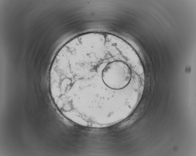 X0000094430807200712061112