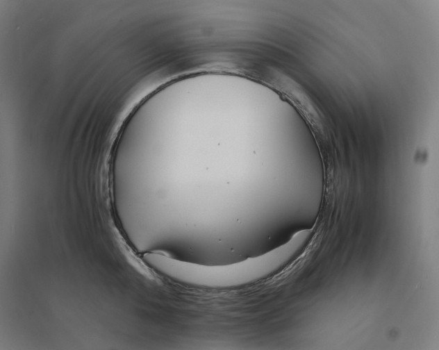 X0000094430808200712061112