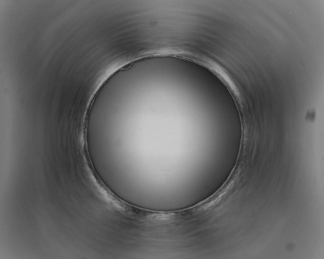 X0000094430810200712061112