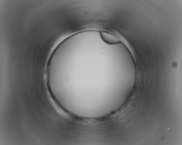 X0000094430811200712061112