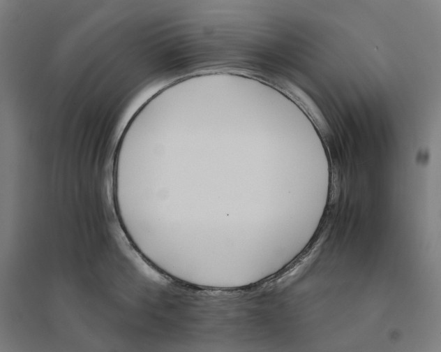 X0000094430812200712061112