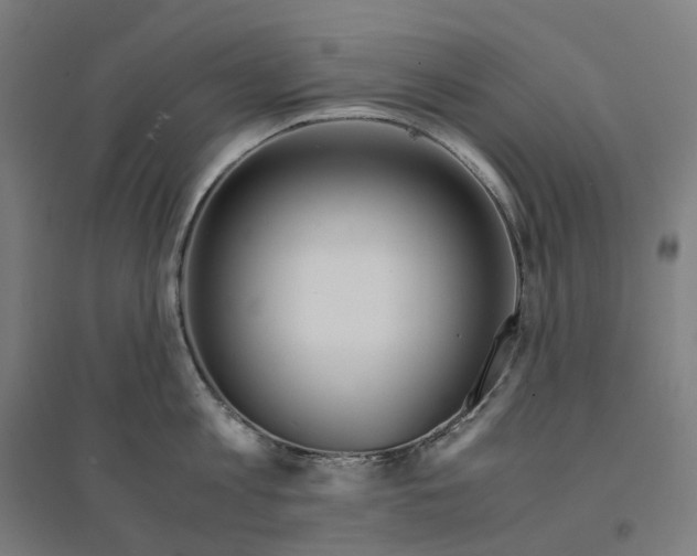 X0000094430813200712061112