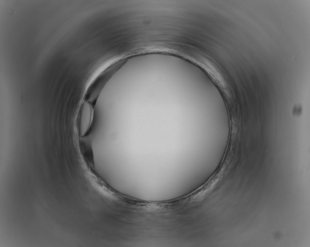 X0000094430814200712061112