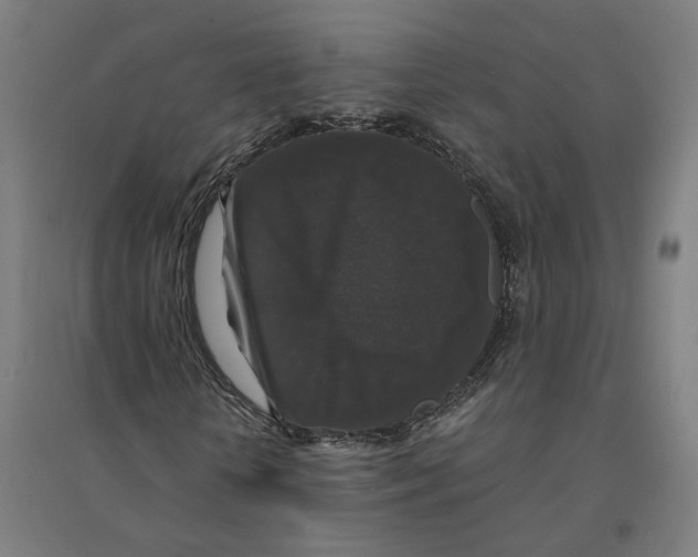 X0000094430818200712061112