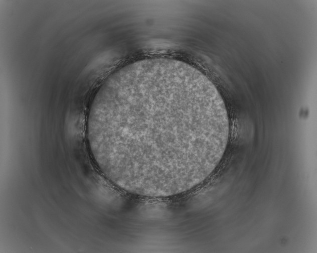 X0000094430820200712061112