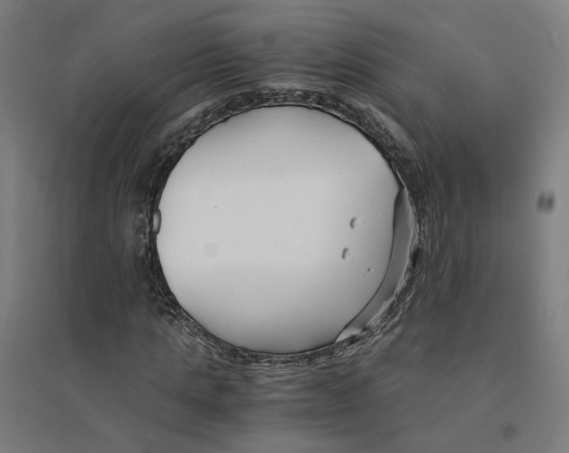 X0000094430821200712061112